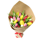 25 разноцветных тюльпанов